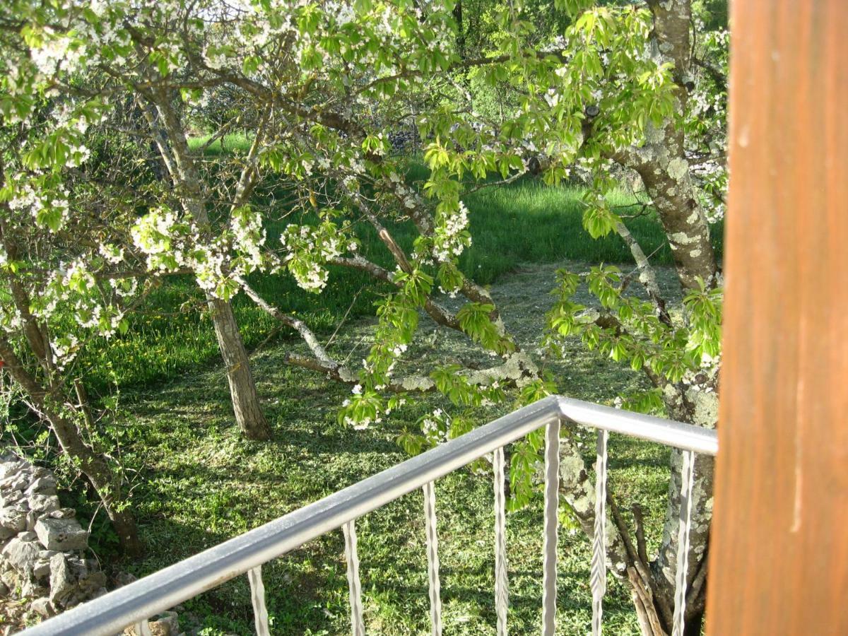 Antonia & Arian Apartment Roč Екстериор снимка