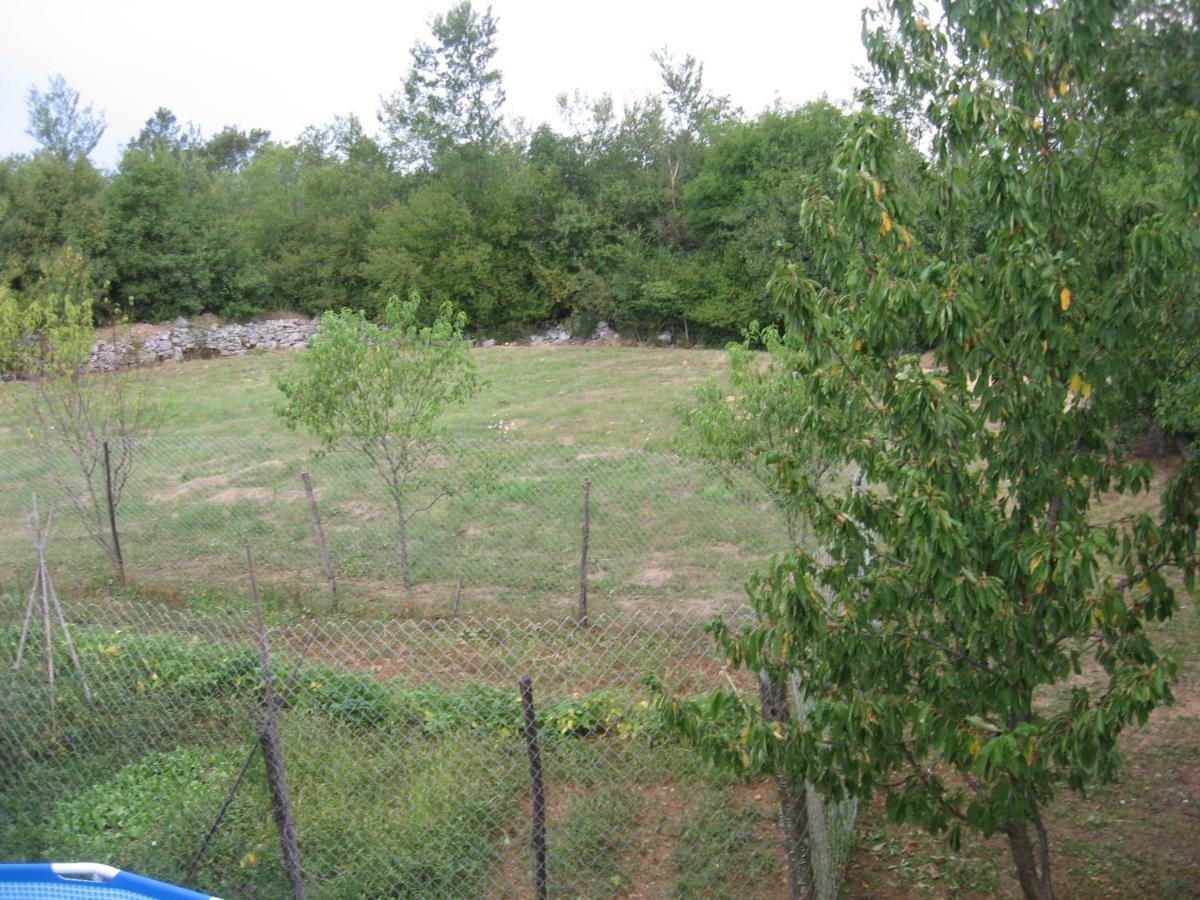 Antonia & Arian Apartment Roč Екстериор снимка